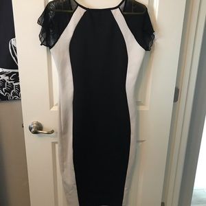 Black and white form fitting dress.